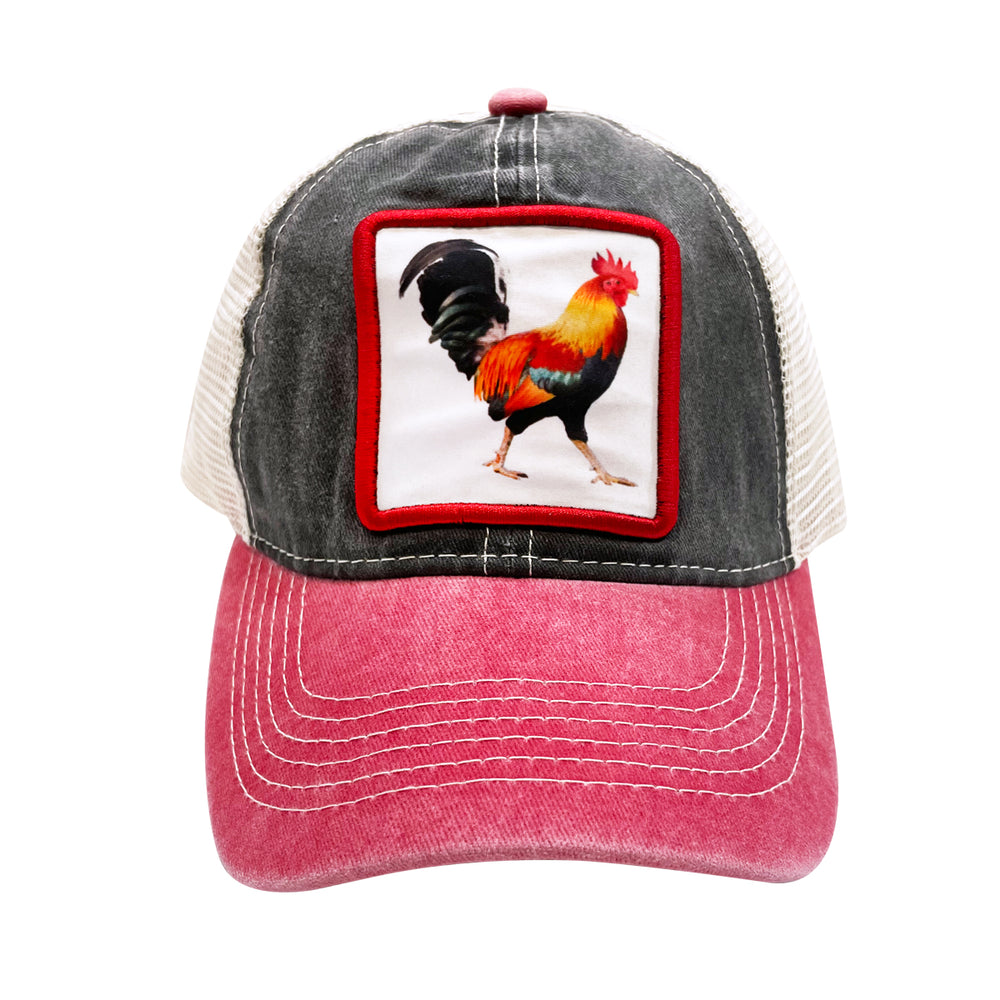 CAP: Rooster