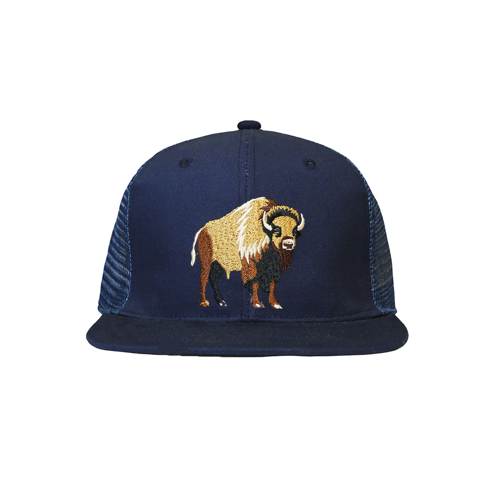 CAP : America Bison