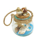 OCEANIC THEMED BOTTLE: Turtle Hawaii (6PC Set)